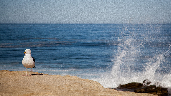 San Diego, California