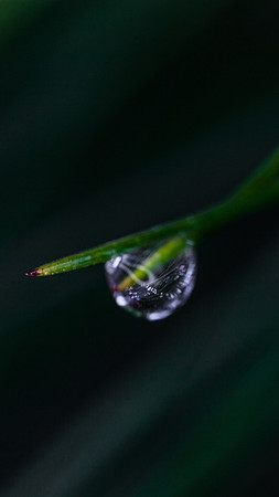 After the Rain - Yorba Linda, California