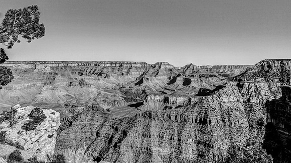 Arizona