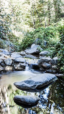 Angeles National Forest - Arcadia, California