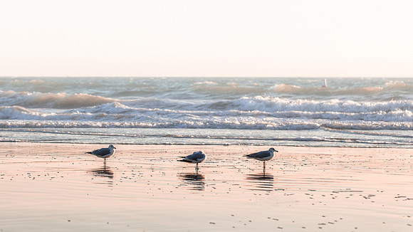 Newport Beach, California