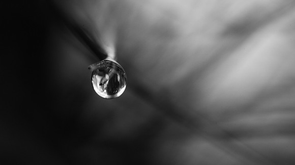 After the Rain - Yorba Linda, California